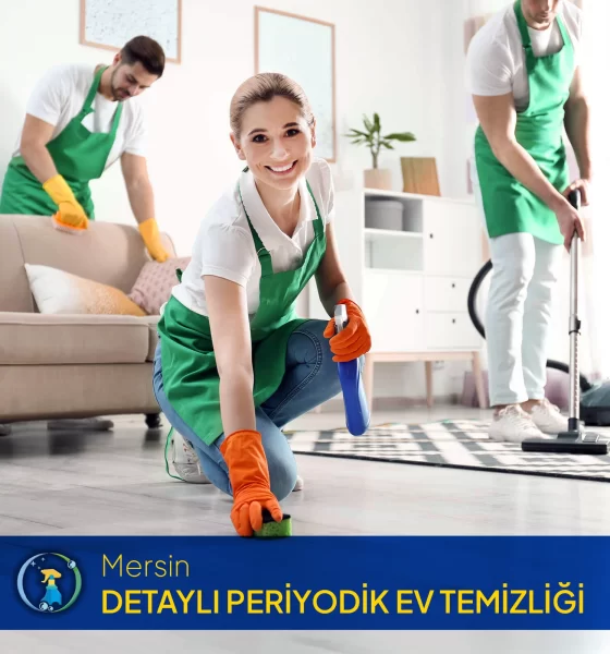 Detaylı periyodik ev temizliği