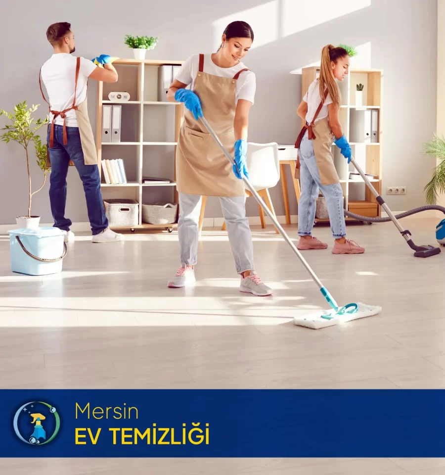 Mersin ev temizliği